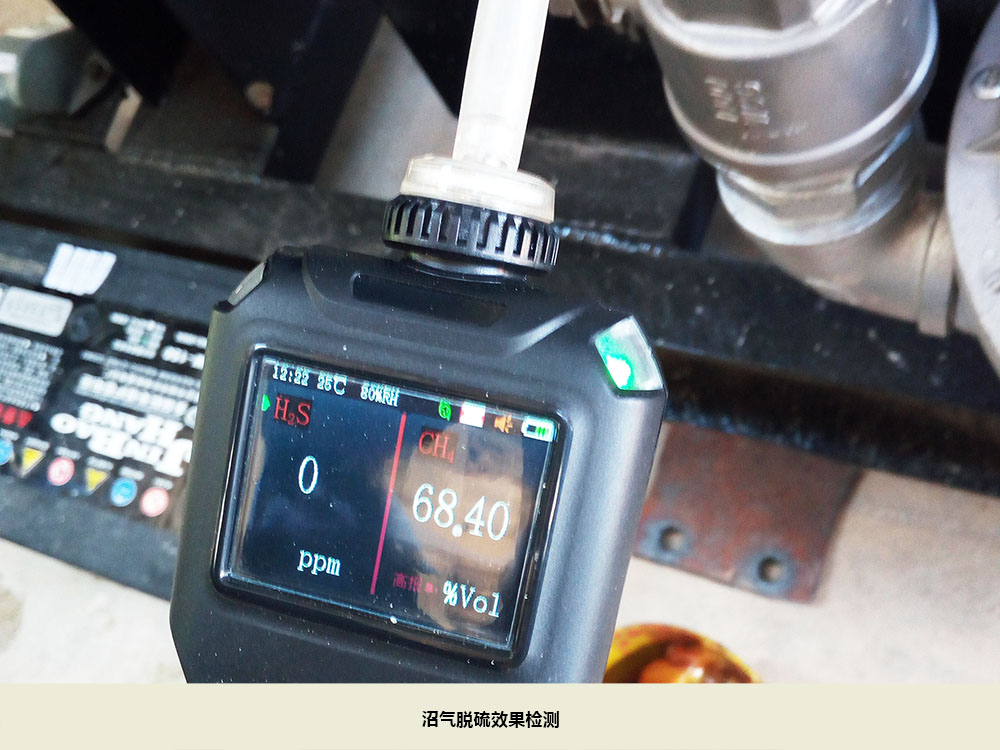 沼氣脫硫結果檢測.jpg